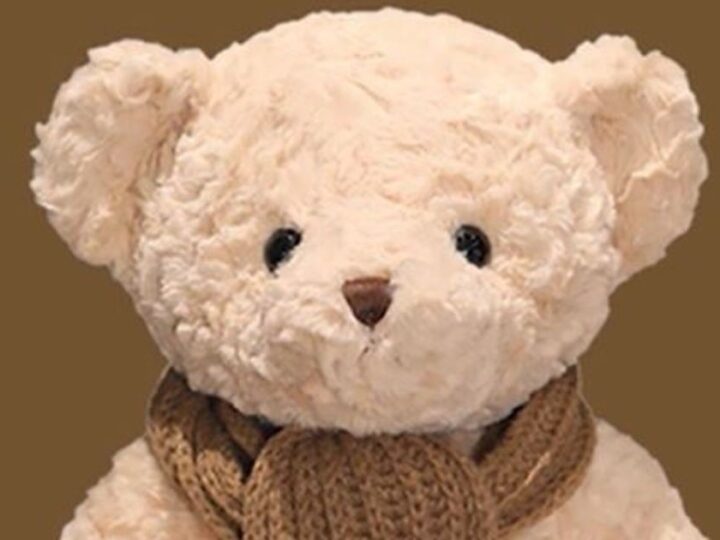 Retiran del mercado a un osito de peluche con IA por dar consejos sexuales